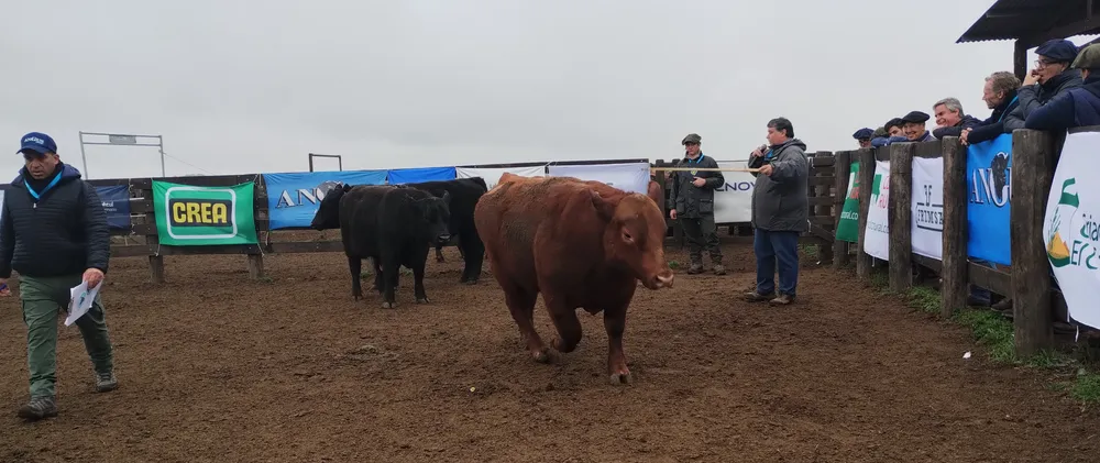 IMG_20240806_114636661