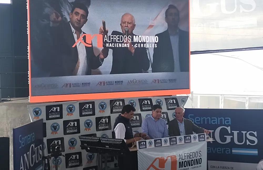 AS MONDINO - REMATE