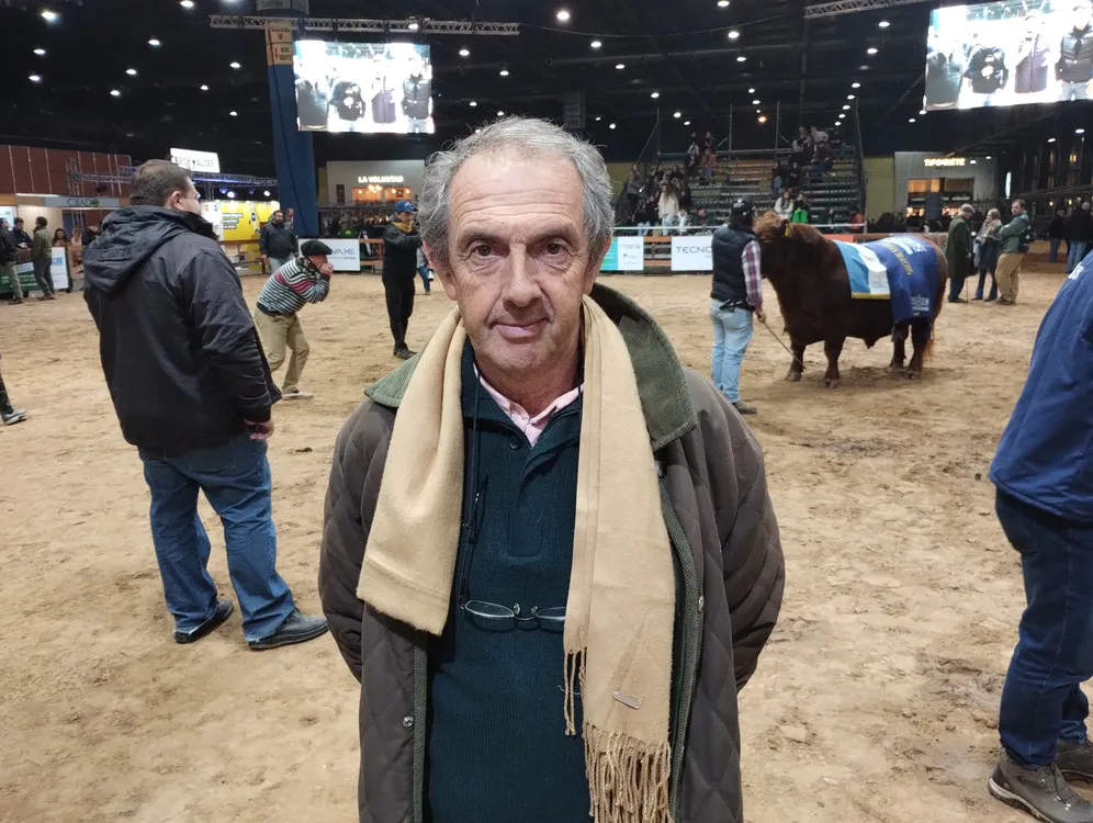 MARIO CASTELO