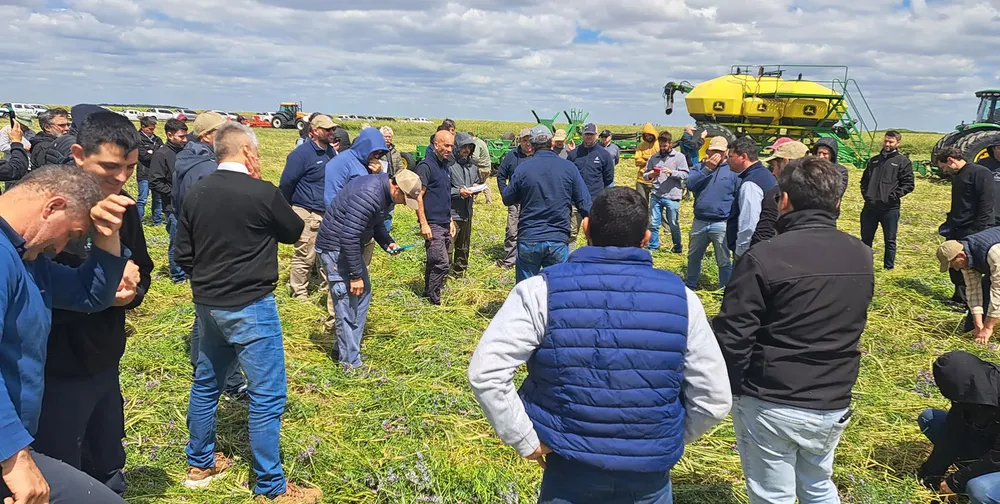 suelo multiespecie 3