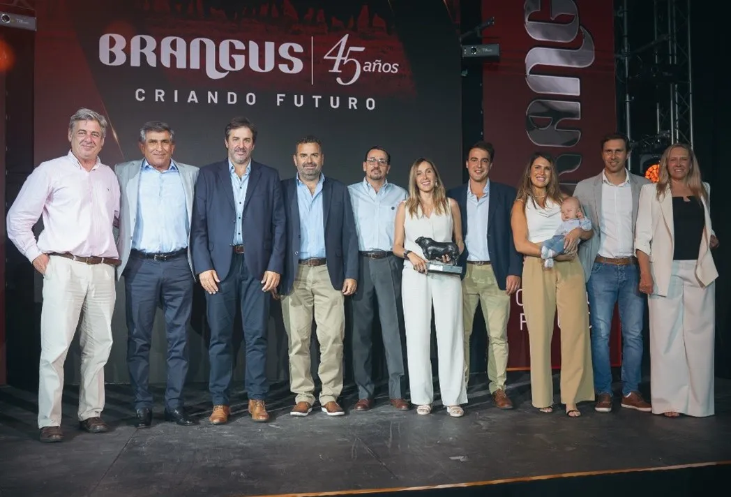 BRANGUS TAPA