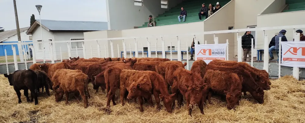 IMG_20240731_120711856