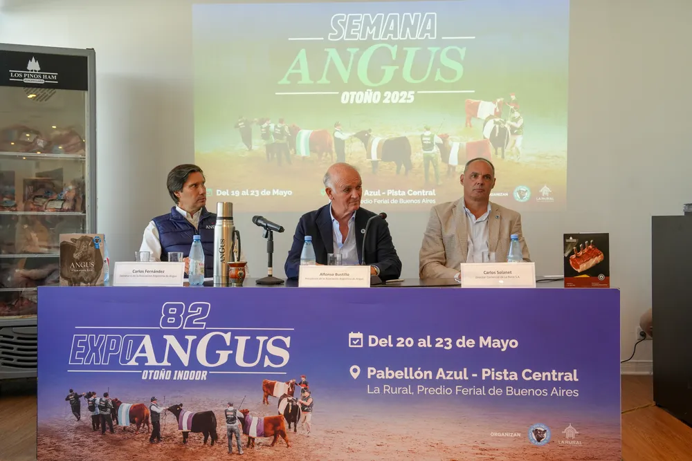 ANGUS1