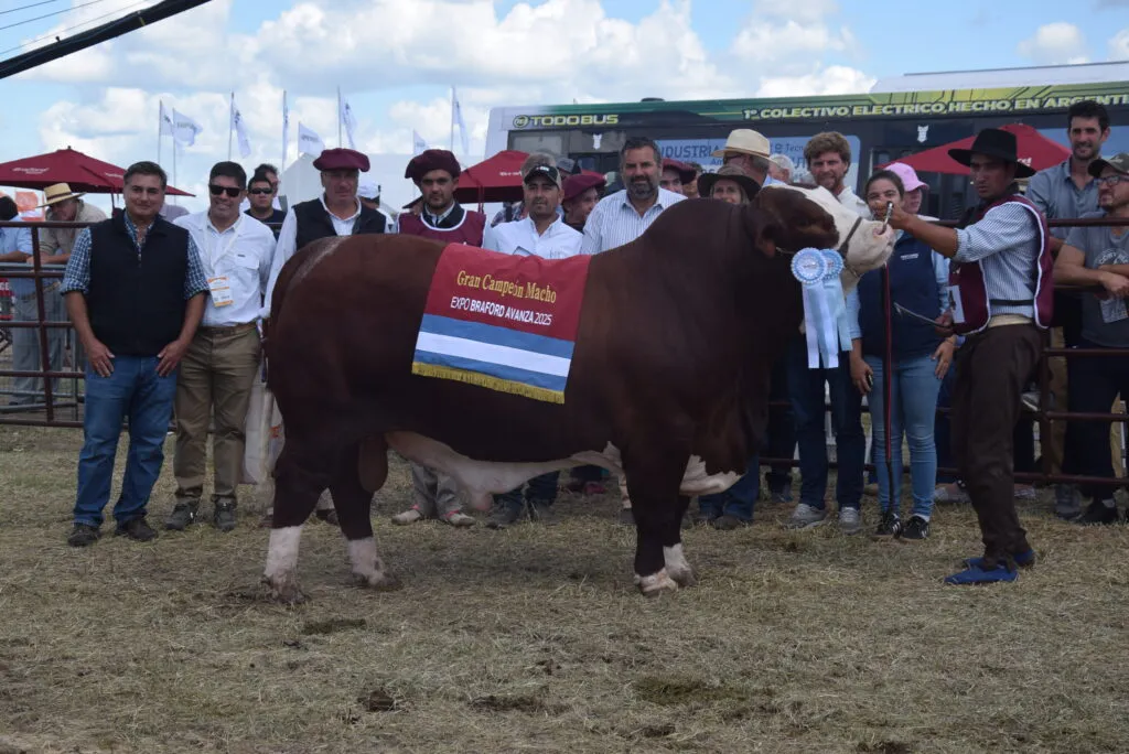 Gran-Campeon-Macho-Cabana-La-Carreta-1024x684