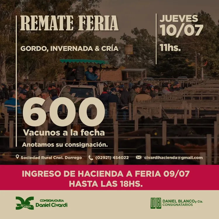 WhatsApp Image 2025-07-01 at 3.25.45 PM