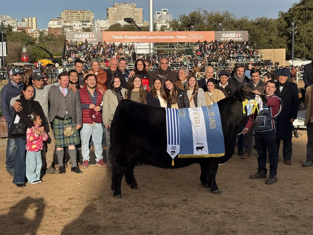 GRAN CAMPEON HEMBRA - DON ABRAHAM
