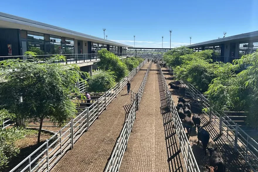 las-ventas-tuvieron-poca-competencia-por-parte-de-O5FNAWHWBVDDVPBRVIRZT5M5VY