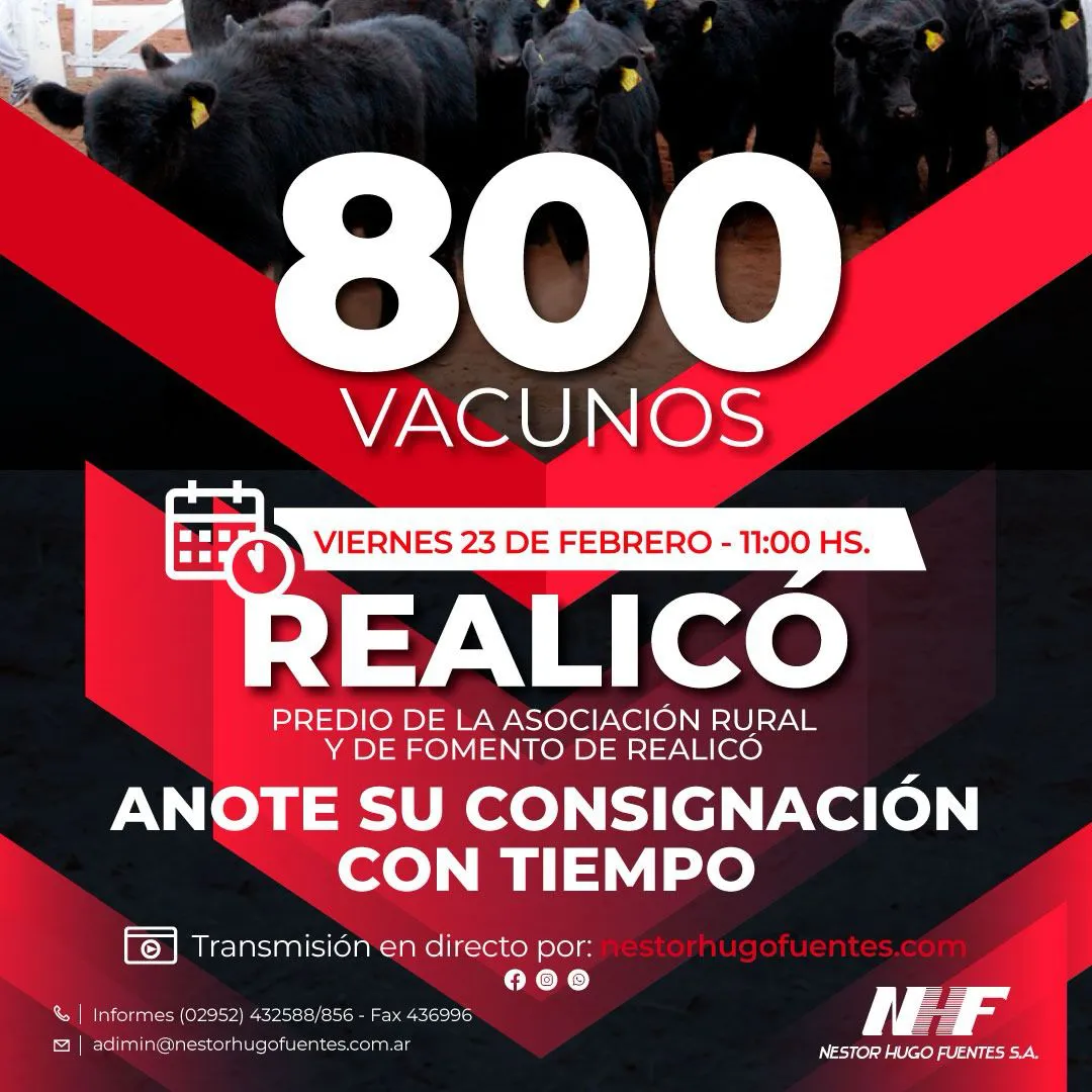 WhatsApp Image 2024-02-08 at 09.58.56