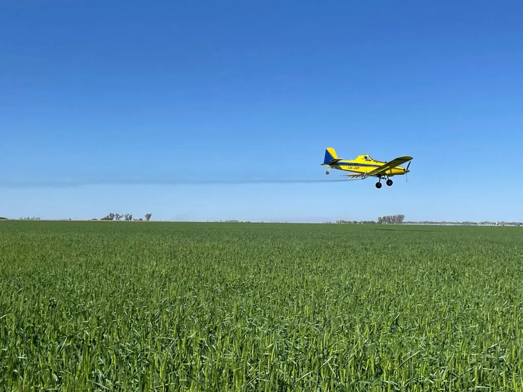 WhatsApp Image 2025-12-10 at 8.12.44 PM