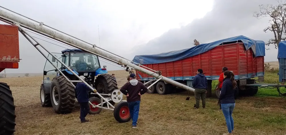 24-05-30_granos_coloreados_entre_rios_3