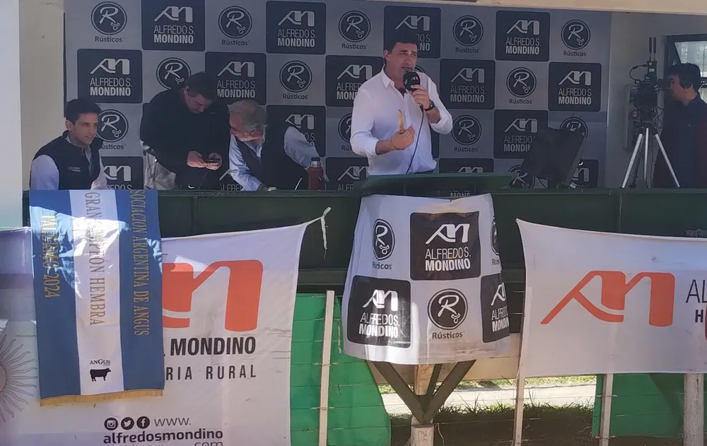 ROBERTO MONDINO