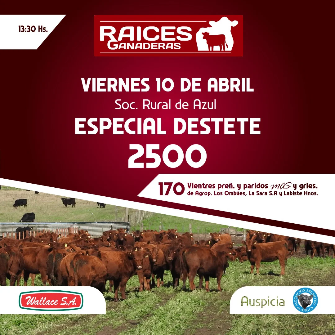 WhatsApp Image 2026-04-08 at 9.44.24 AM