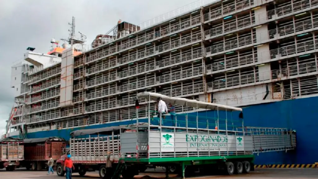Barco-exportacion-ganado