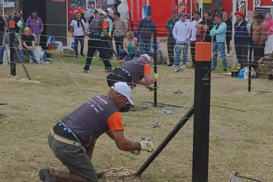 destacaron-que-el-desarrollo-de-la-contienda-IPUYWCMEO5GTZEYXI6TAXBCYBA