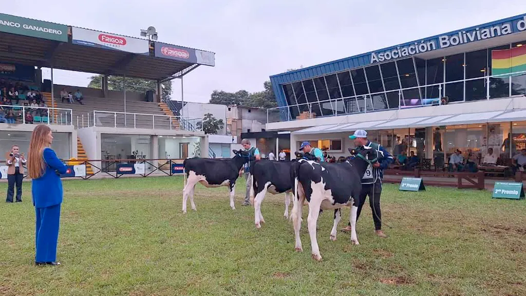 438856071_820888063396623_8271404105949903736_n