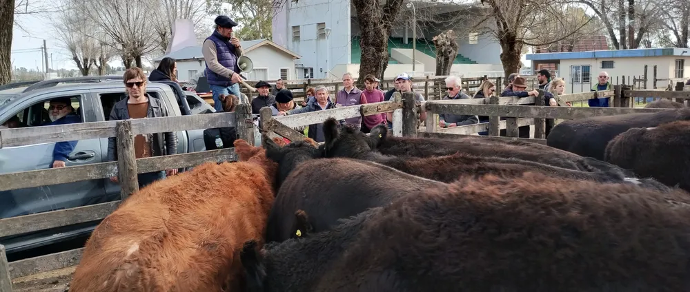 IMG_20240718_150321774_HDR