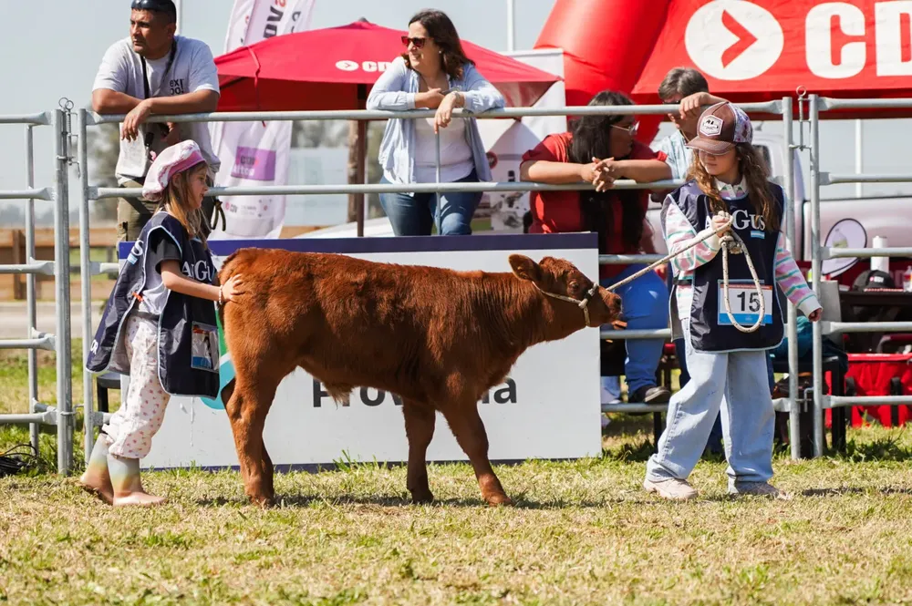 Jura-Angus-Junior-1-1536x1021