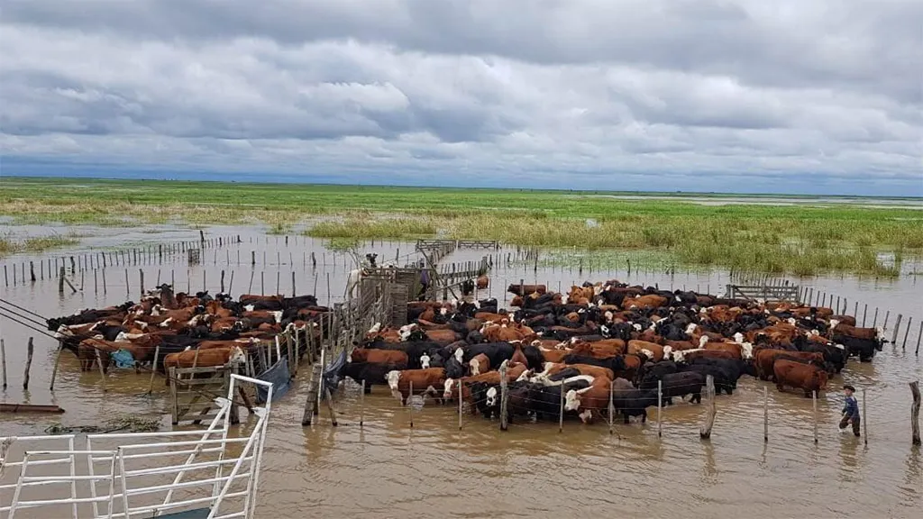 ganaderia-inundaciones-2023
