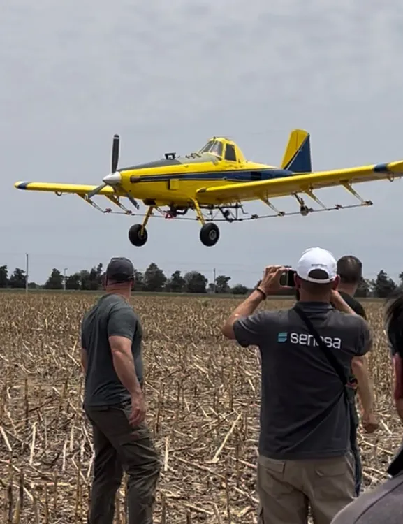 congreso-langostas-4