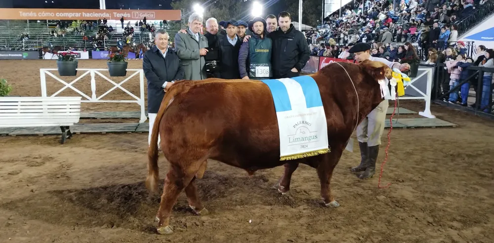 CABAÑA ATIGUE - GCM EXPO PALERMO24