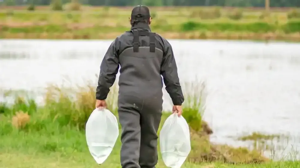 la_estacion_hidrobiologica_de_chascomus_clave_en_la_recuperacion_del_pejerrey_en_lagunas_bonaerenses