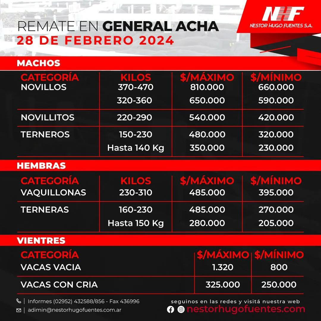 FUENTES ACHA INFO