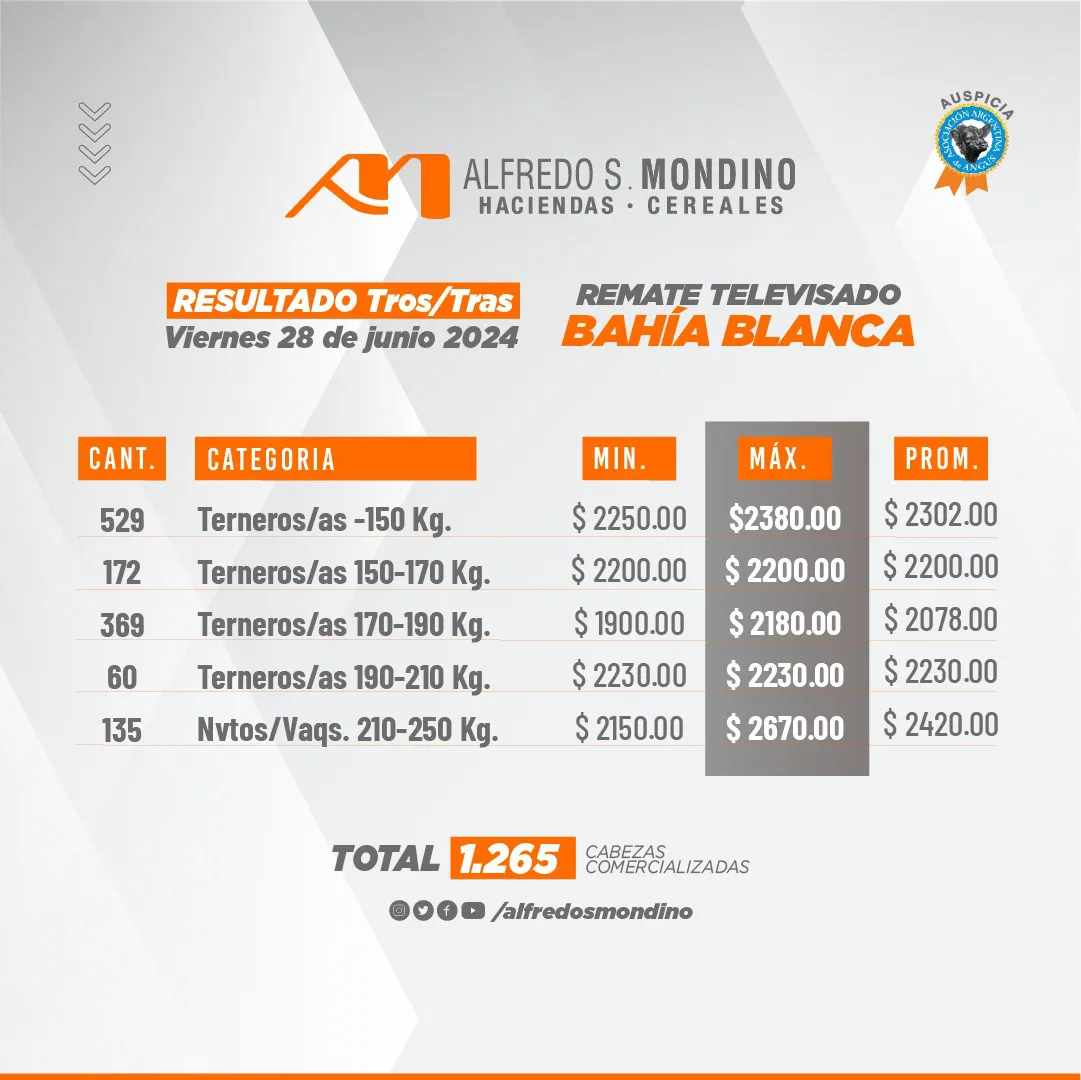 BB TERNEROS Y TERNERAS