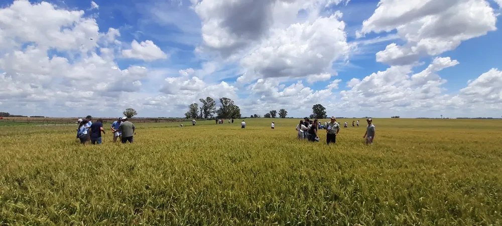 WhatsApp Image 2025-12-02 at 4.55.40 PM