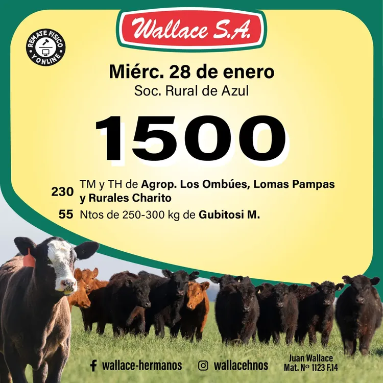 WhatsApp Image 2026-01-13 at 1.59.50 PM