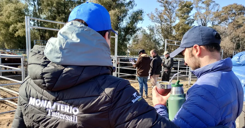 MONASTERIO TATTERSALL2