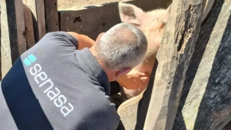 WhatsApp Image 2025-12-16 at 10.36.59 AM