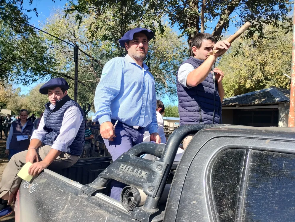 AS MONDINO EN OLAVARRIA