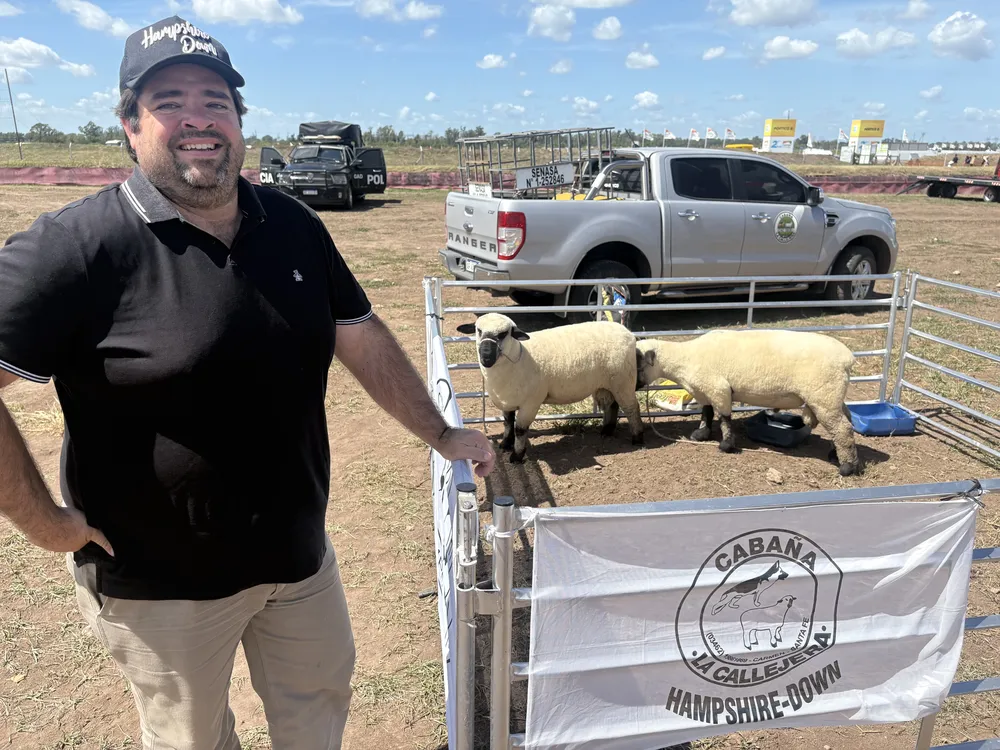 FEDERICO MANFROI - HAMPSHIRE DOWN - EXPOAGRO 2026