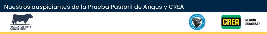BANNER 1 - PRUEBA PASTORIL 2026