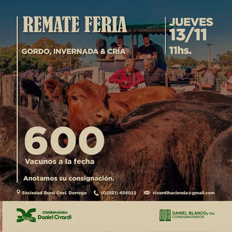 WhatsApp Image 2025-10-28 at 10.45.44 AM