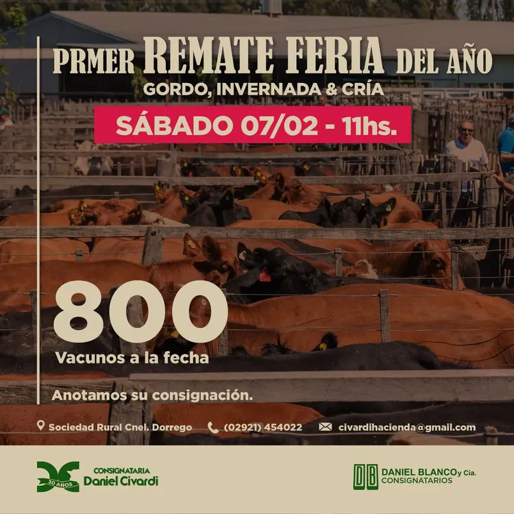 WhatsApp Image 2026-01-21 at 2.25.11 PM