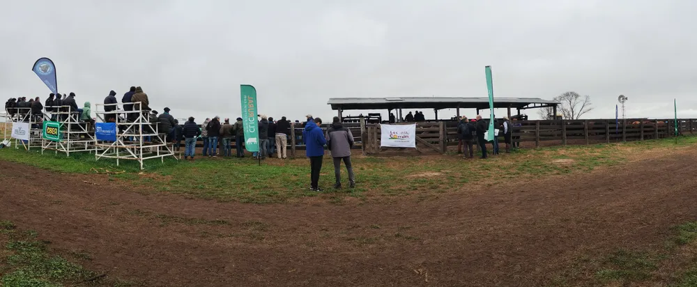 IMG_20240806_120650250