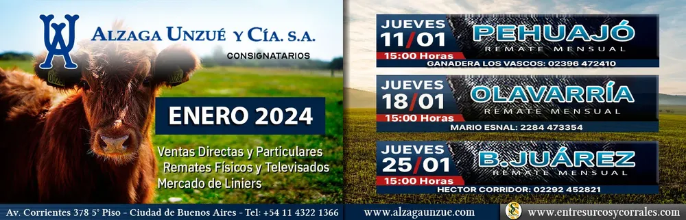ALZAGA
