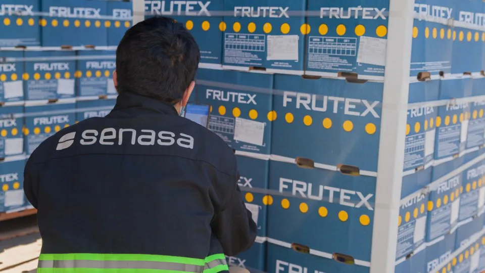 WhatsApp Image 2025-11-26 at 1.32.13 PM