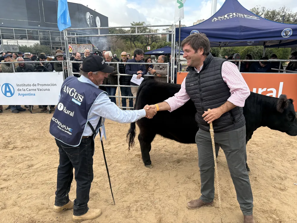 JURA DE LOTES PP EN PISTA CENTRAL DE PALERMO - EXPO OTOÑO ANGUS 2026