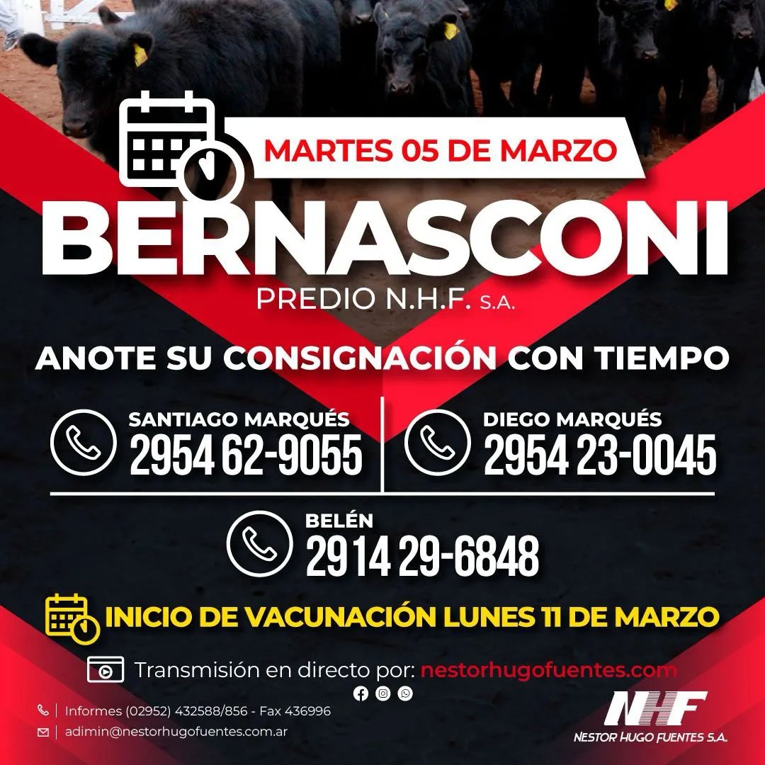 NHF2