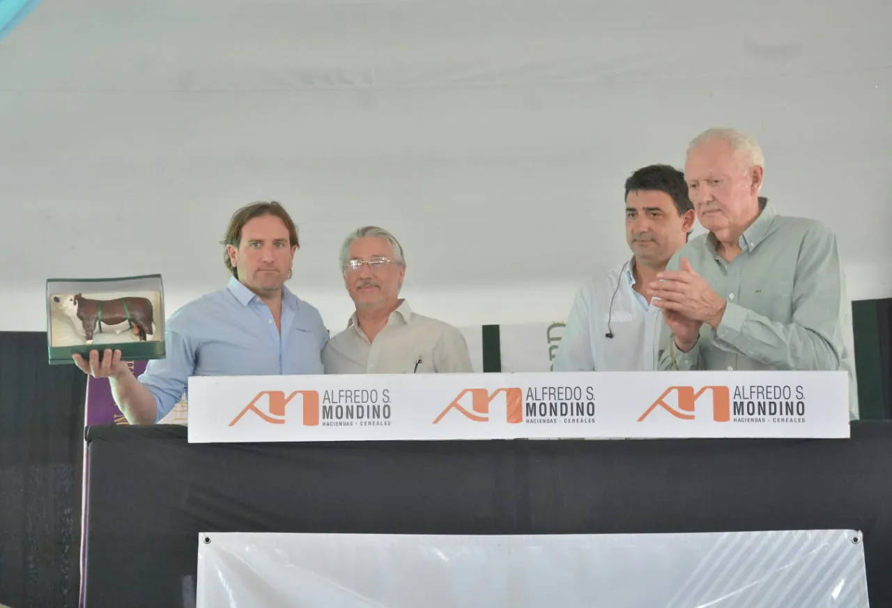 WhatsApp Image 2023-10-04 at 17.30.28