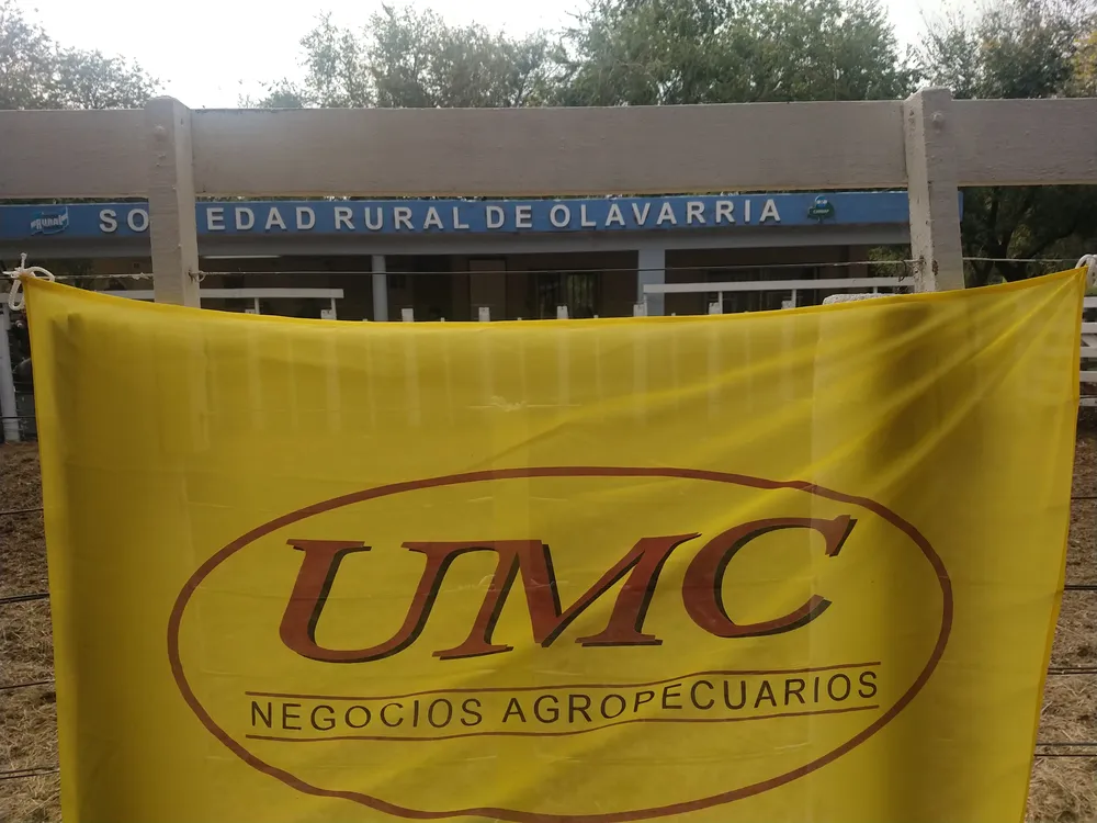 UMC