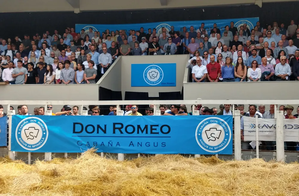 CABAÑA DON ROMEO TAPA
