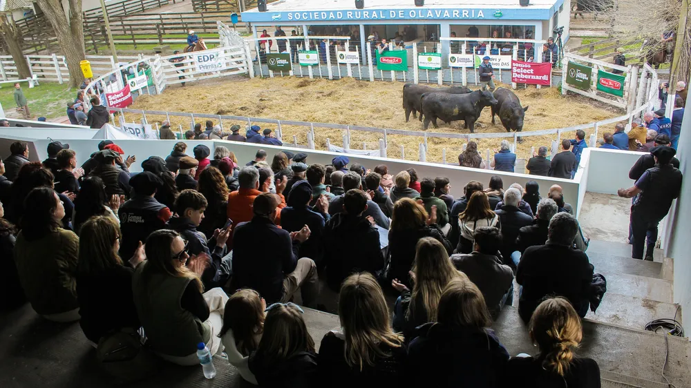 REMATE LOMAS PAMPAS - SOC RURAL DE OLAVARRIA - 2025