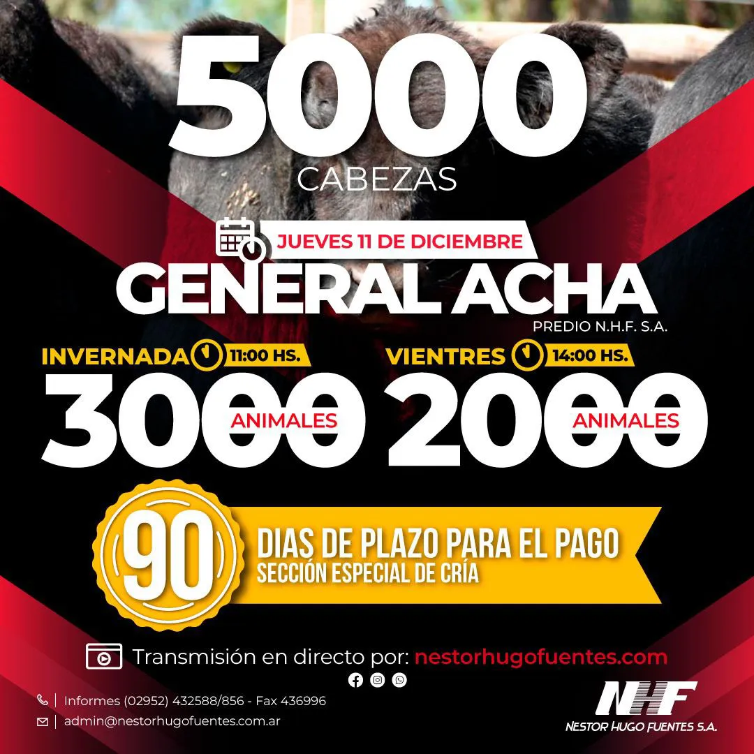 WhatsApp Image 2025-12-09 at 3.17.20 PM