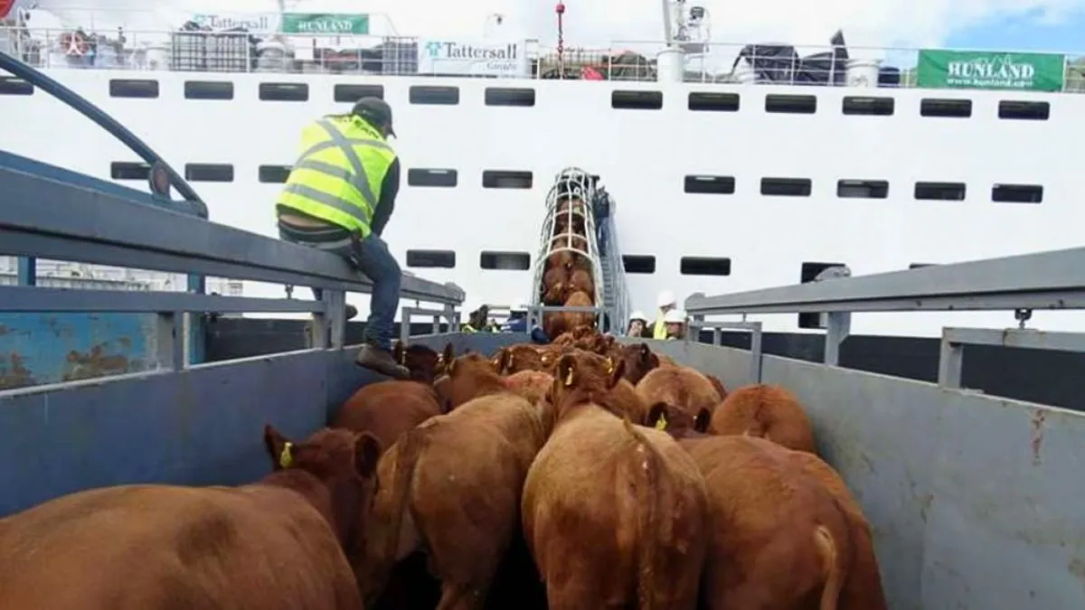 haciendaexpopiebarcojpg