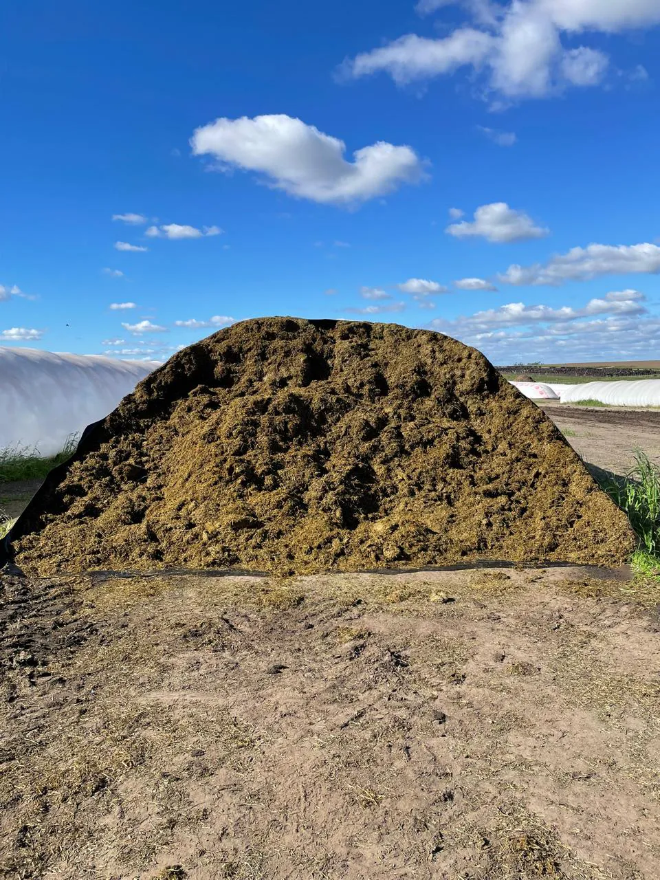 4cc1bac3-6f28-d83d-fb84-3a597f6ecd55