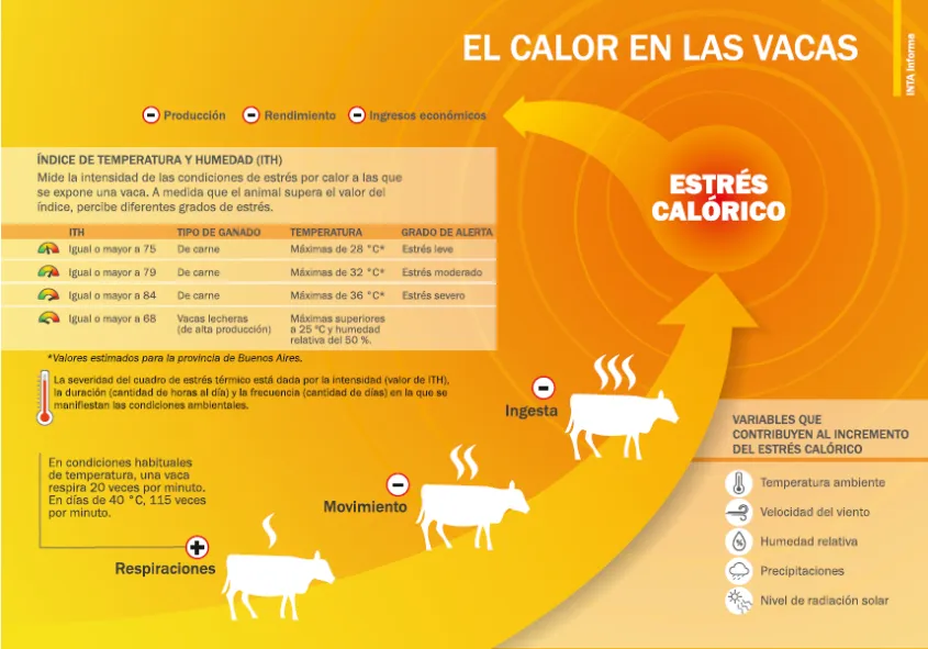 Captura-de-pantalla-2026-01-07-101737