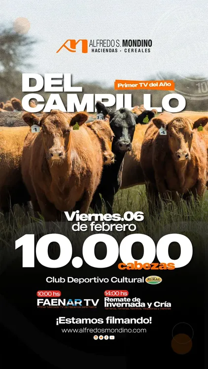 WhatsApp Image 2026-01-31 at 2.07.37 PM